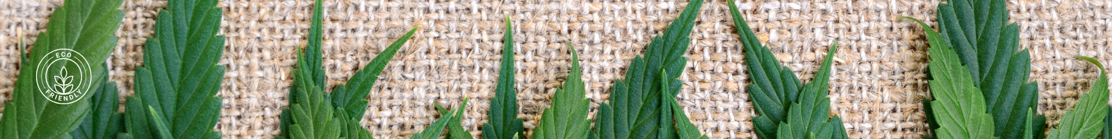 hemp leaves against hemp fabric